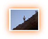 arizona071.jpg