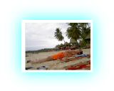 PICT71421.jpg