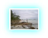 PICT71891.jpg