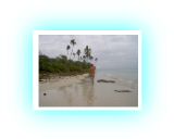 PICT71961.jpg