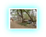 PICT72191.jpg