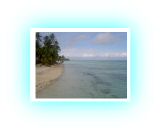 PICT72591.jpg