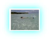PICT73051.jpg