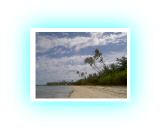 PICT73311.jpg